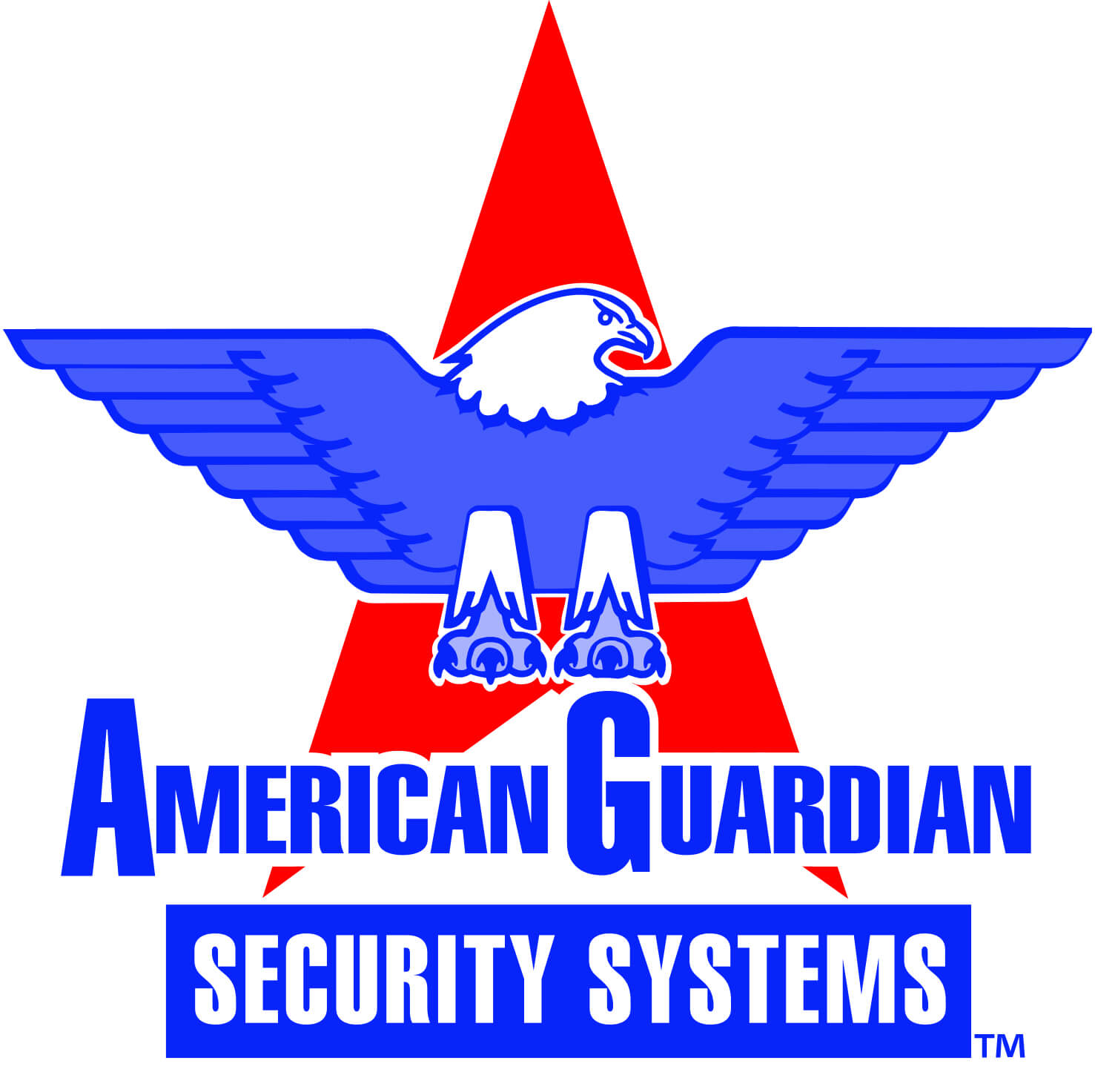 atlanta security systems